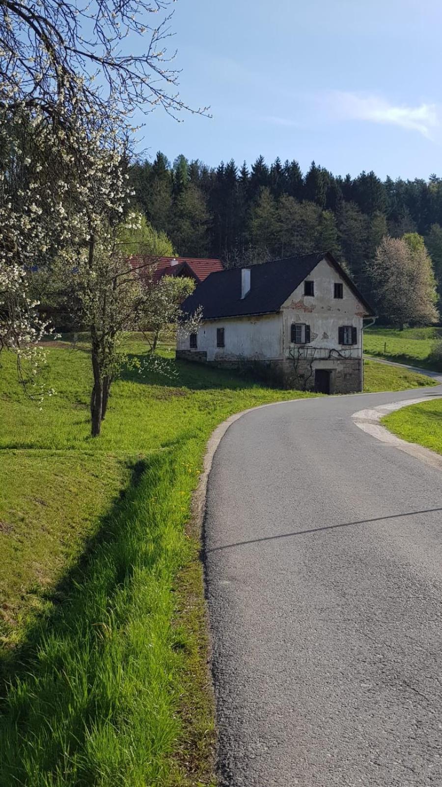 Presshaus Alte Muehle Villa Stainz Exterior photo